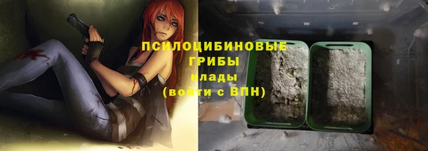 ПСИЛОЦИБИНОВЫЕ ГРИБЫ Алексин