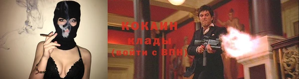 прущие крисы Алзамай