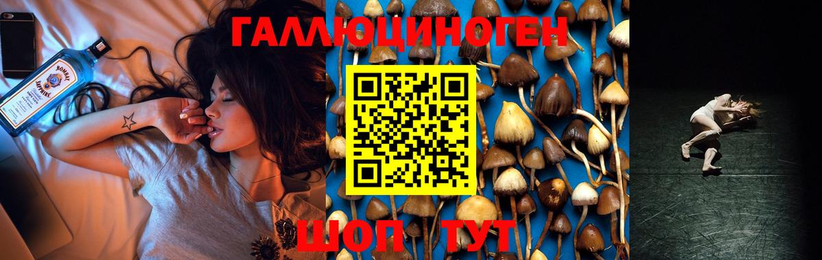 Кыштым  дарнет шоп  Вход с VPN  Галлюциногенные грибы GOLDEN TEACHER 