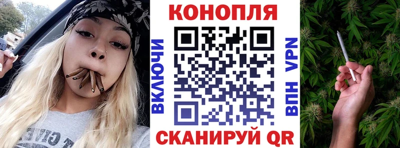 Шишки марихуана сатива  omg   Кыштым  где продают наркотики 